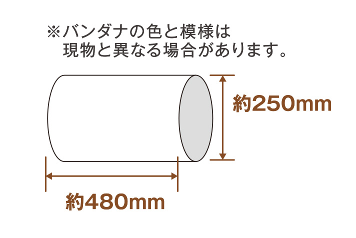 らくらくバンダナ 遊び方画像